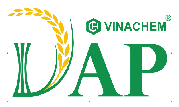 Untitled-1-03 client-image