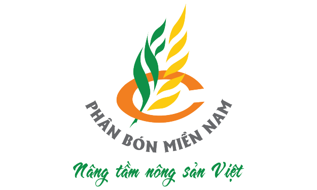 Untitled-1-16 client-image