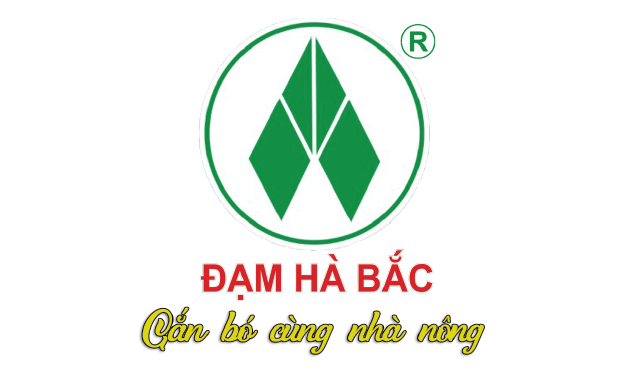 Untitled-1-17 client-image